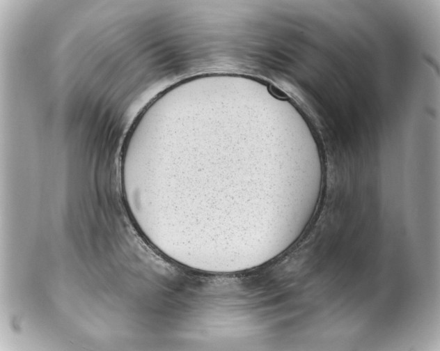 X0000101651238200807311406
