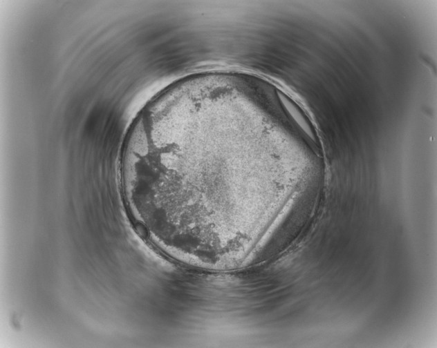 X0000101651239200807311406