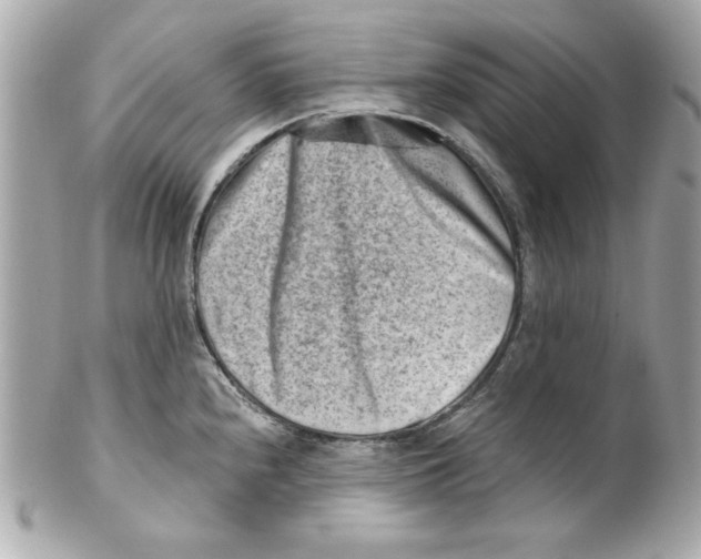 X0000101651240200807311406