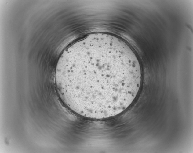X0000101651241200807311406