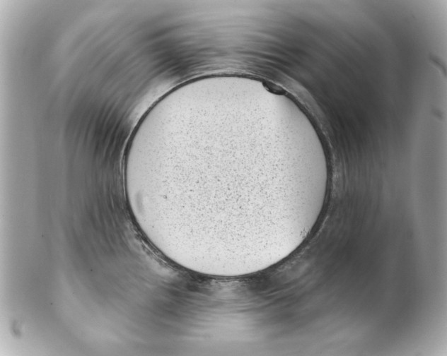 X0000101651242200807311406