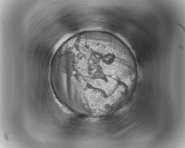 X0000101651245200807311406
