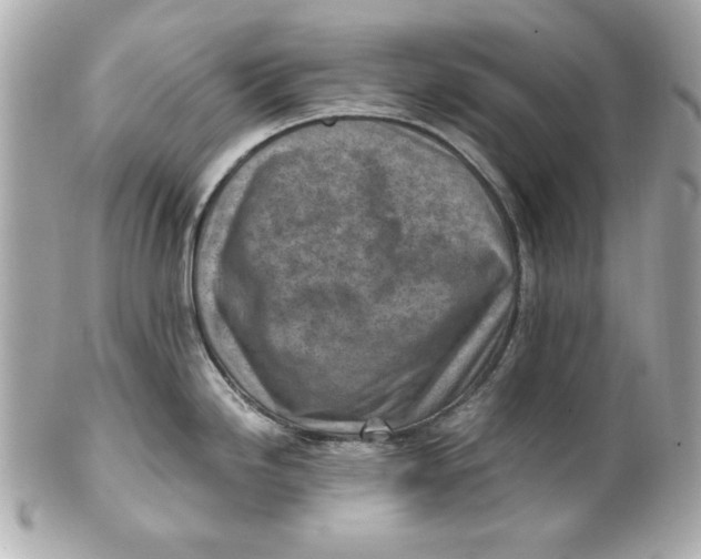 X0000101651246200807311406