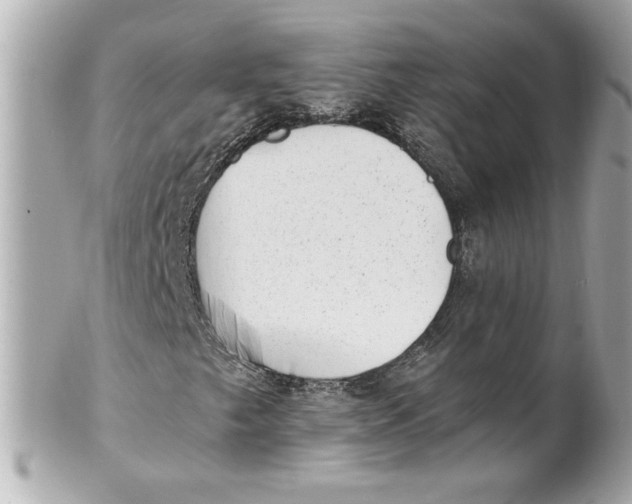 X0000101651249200807311406