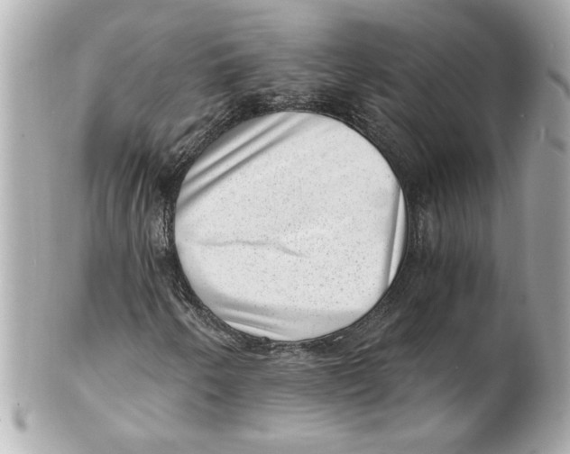 X0000101651250200807311406