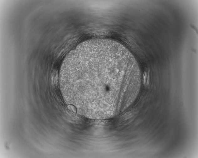 X0000101651251200807311406