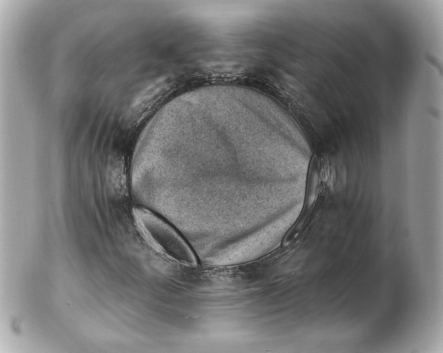 X0000101651252200807311406