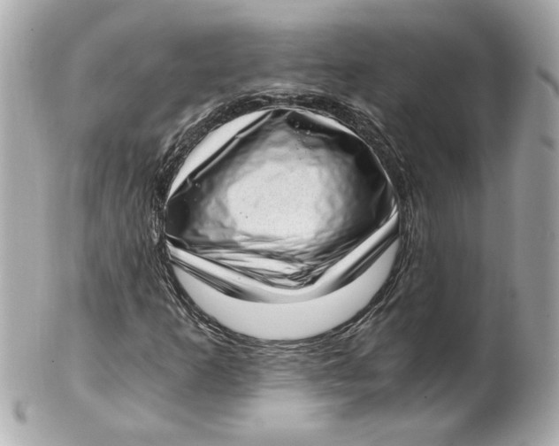 X0000101651253200807311406