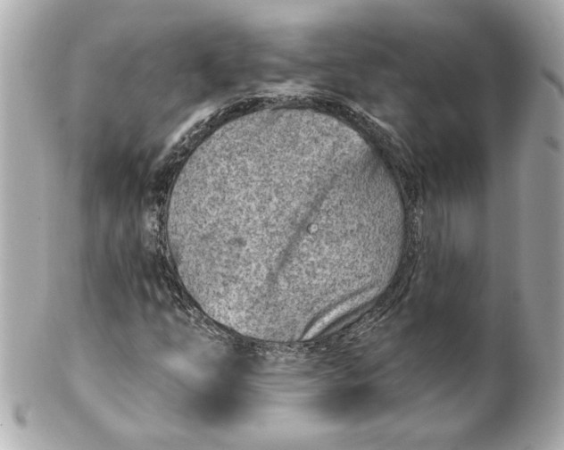 X0000101651254200807311406