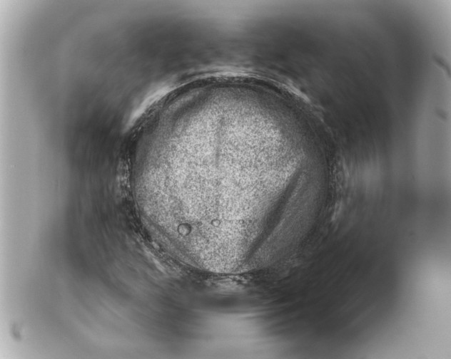 X0000101651255200807311406