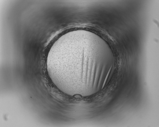X0000101651256200807311406