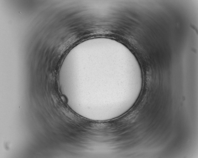 X0000101651257200807311406