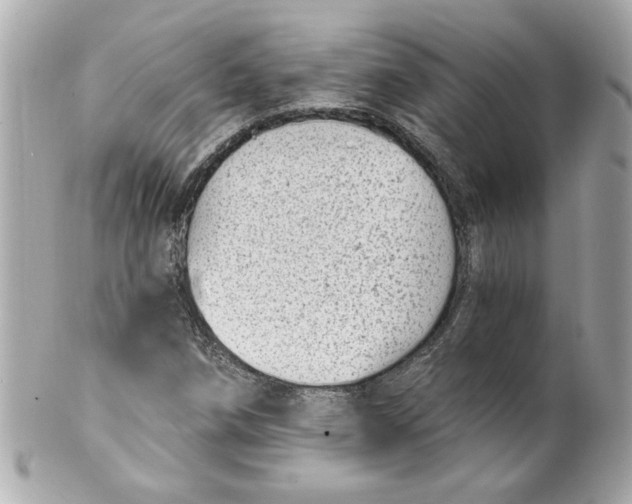 X0000101651258200807311406