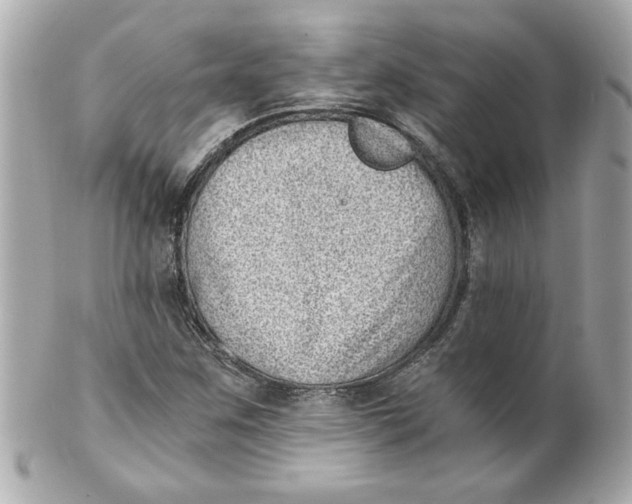 X0000101651259200807311406