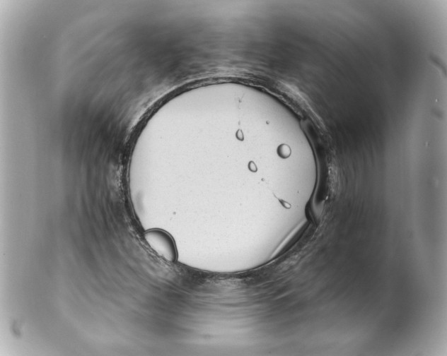 X0000101651260200807311406