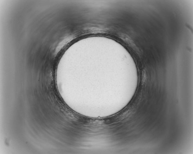 X0000101651261200807311405