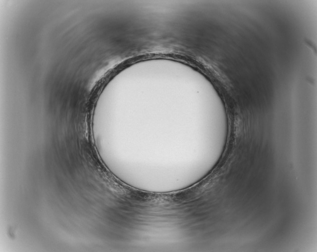 X0000101651262200807311405