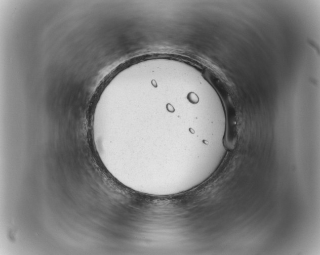 X0000101651264200807311405