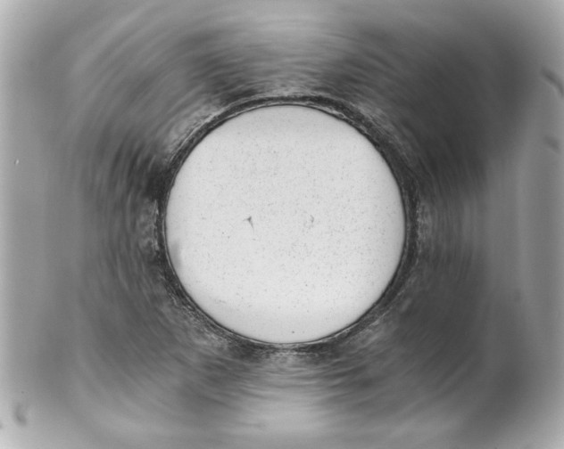 X0000101651265200807311405