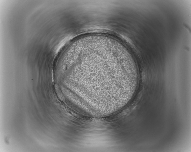 X0000101651267200807311405