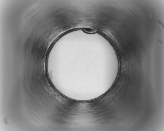 X0000101651268200807311405