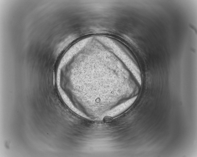 X0000101651269200807311405