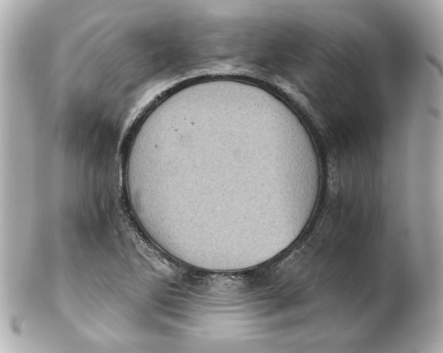 X0000101651270200807311405