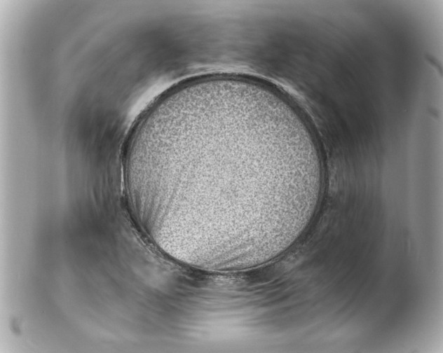 X0000101651271200807311405