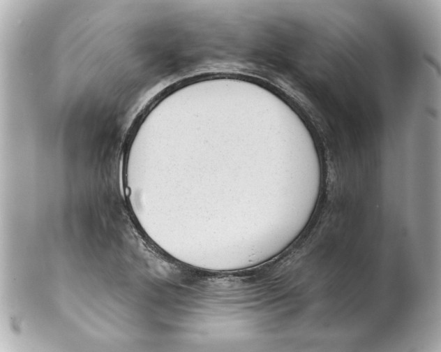 X0000101651272200807311405