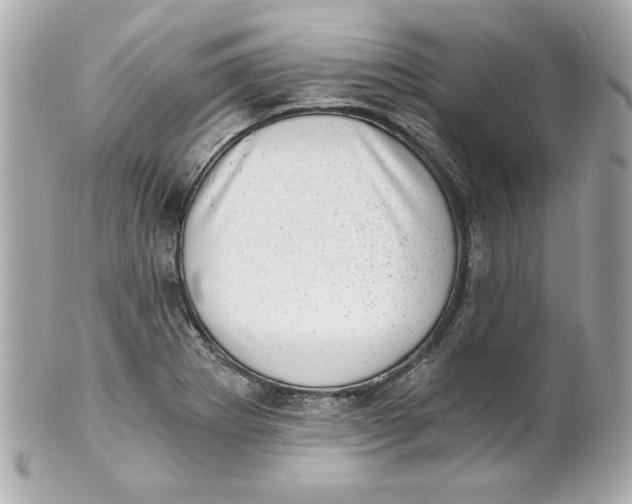 X0000101651273200807311405