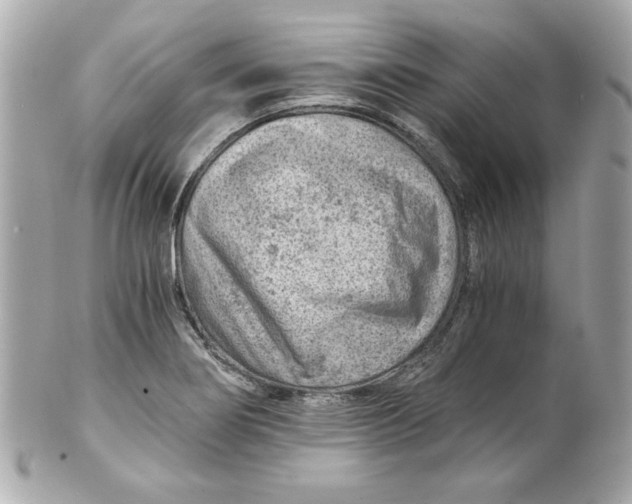 X0000101651274200807311405
