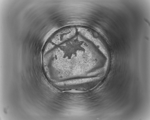 X0000101651275200807311405