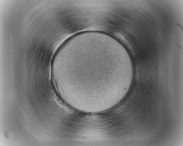 X0000101651276200807311405