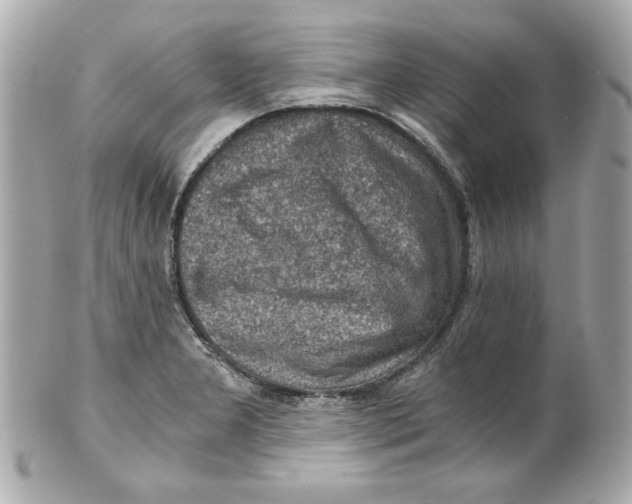 X0000101651277200807311405