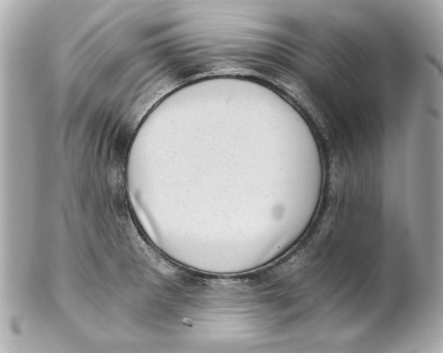 X0000101651281200807311405