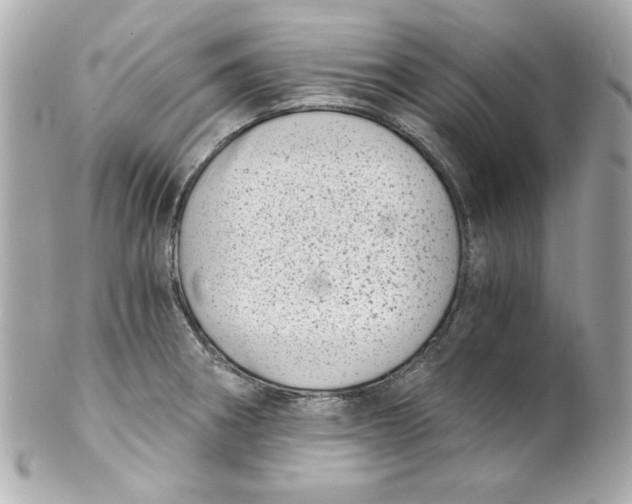 X0000101651282200807311405