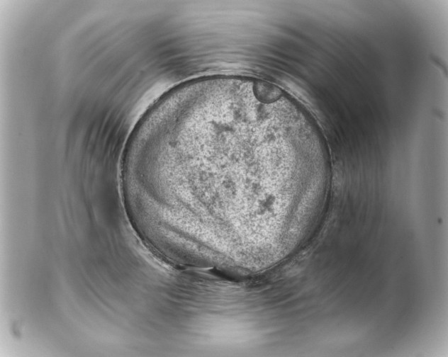 X0000101651283200807311405
