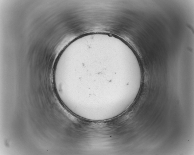 X0000101651285200807311405