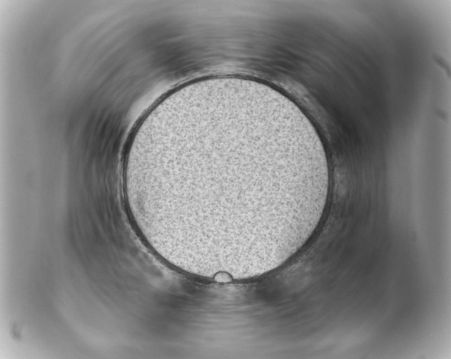 X0000101651286200807311405