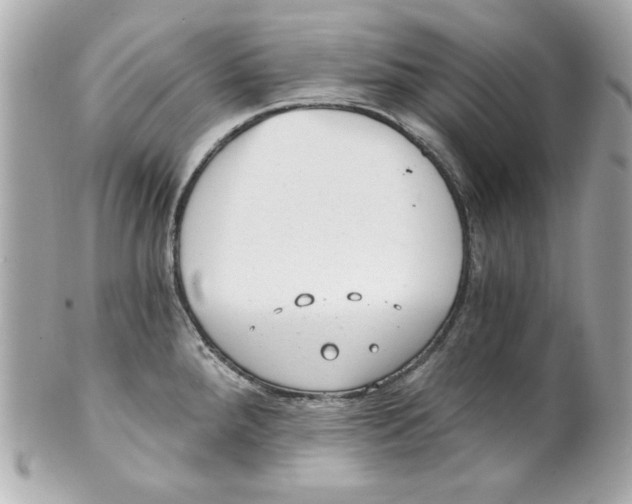 X0000101651288200807311405