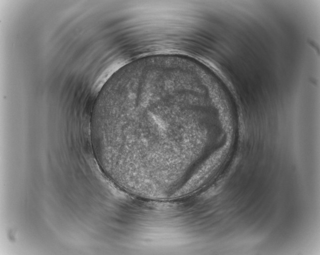 X0000101651289200807311405