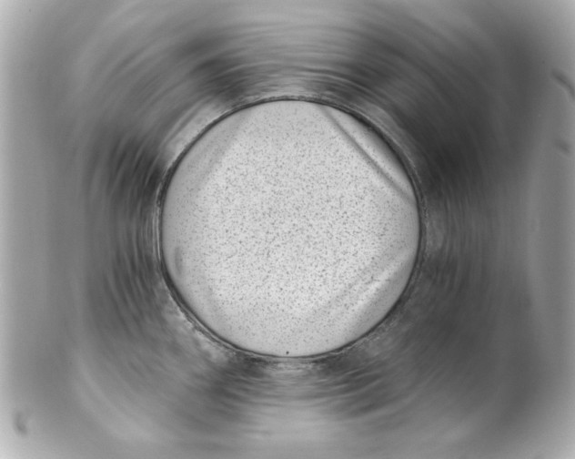 X0000101651290200807311405