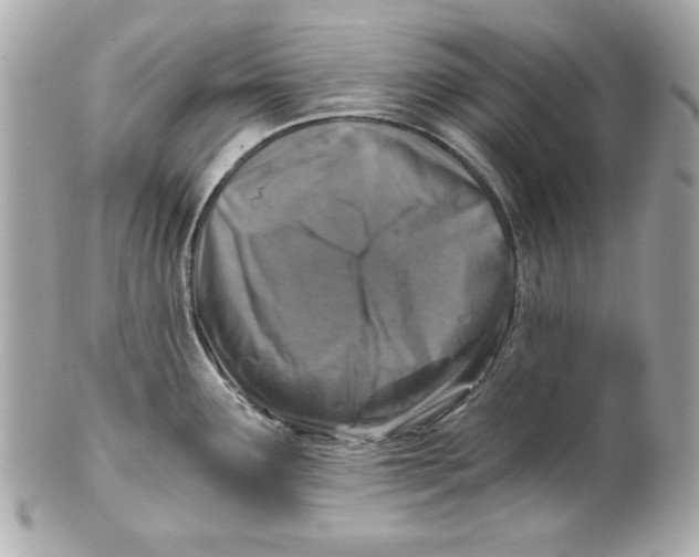 X0000101651291200807311405