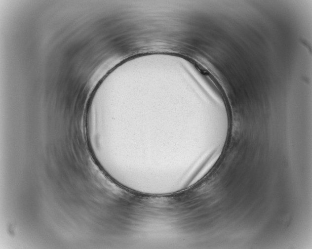 X0000101651293200807311405