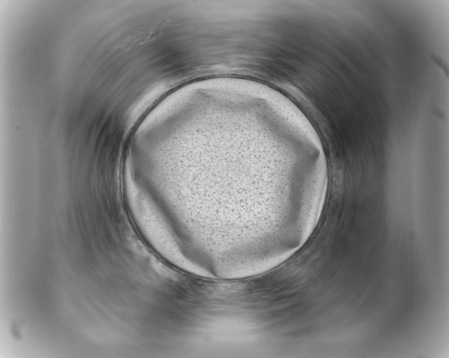X0000101651294200807311405
