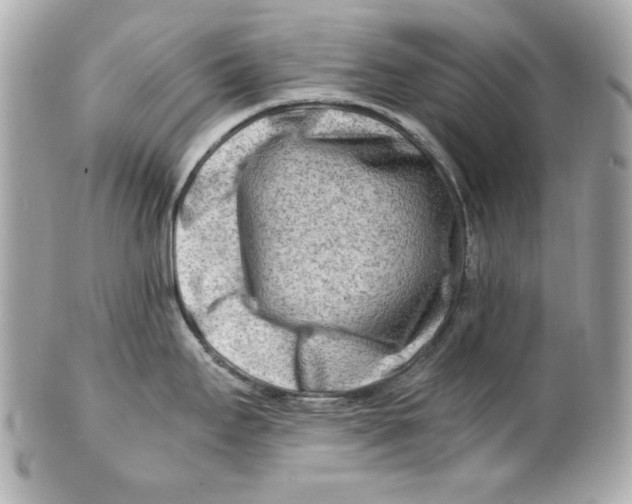 X0000101651295200807311405