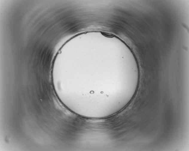X0000101651296200807311405