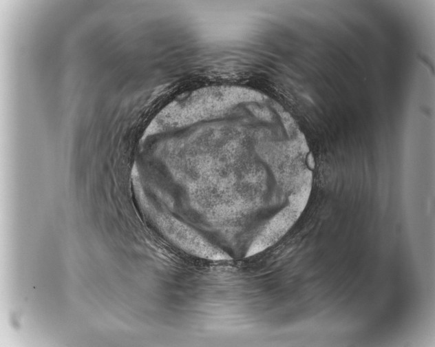 X0000101651297200807311404