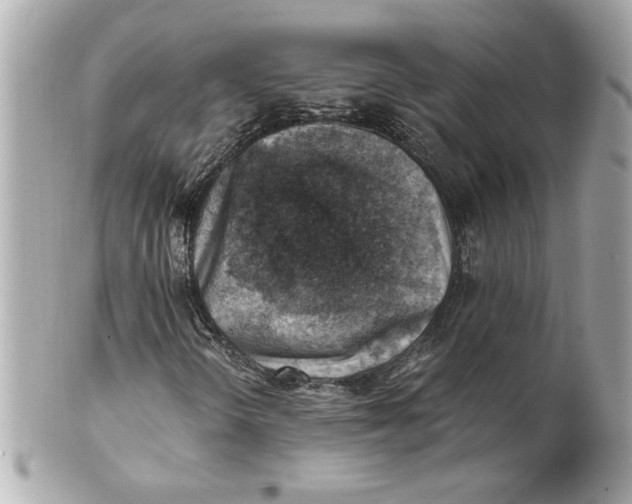 X0000101651298200807311404