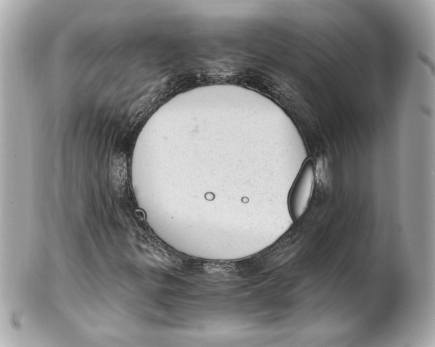 X0000101651299200807311404